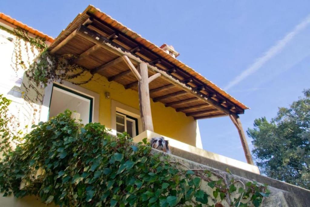 Casa Da Ruiva Villa Serra Dış mekan fotoğraf