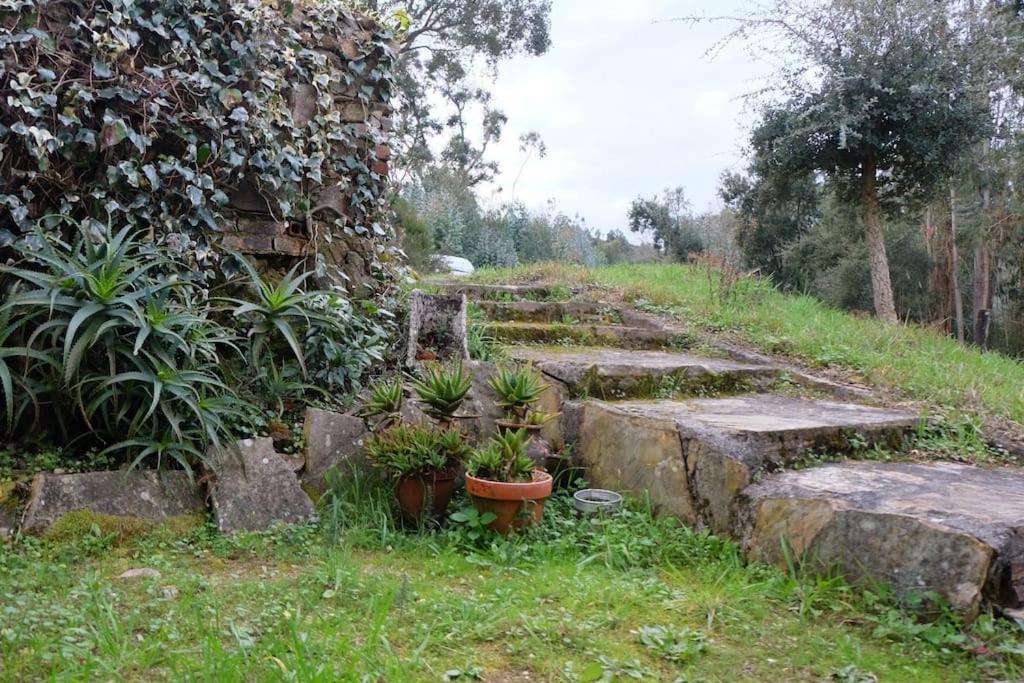 Casa Da Ruiva Villa Serra Dış mekan fotoğraf